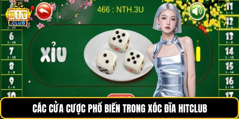 Các cửa cược phổ biến trong xóc đĩa HITCLUB