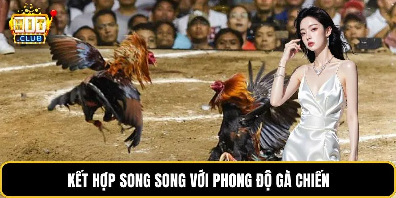 Kết hợp song song với phong độ gà chiến