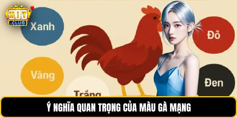 Ý nghĩa quan trọng của màu gà mạng